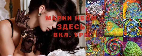 ПСИЛОЦИБИНОВЫЕ ГРИБЫ Балабаново
