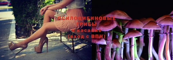 ПСИЛОЦИБИНОВЫЕ ГРИБЫ Балабаново